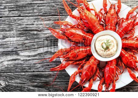 Boiled red crayfishes with sauce of grated horseradish close-up