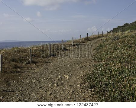 the coastline of the Island of corsica