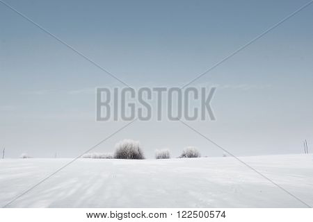 Wounderful winter landscape, endless field with snow