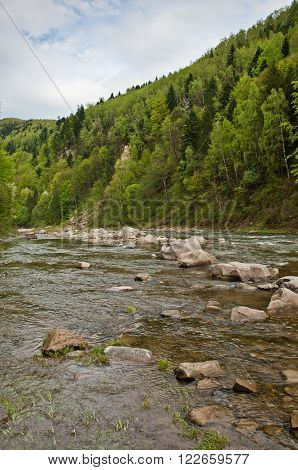 River In Carpathians Mountains In Spring