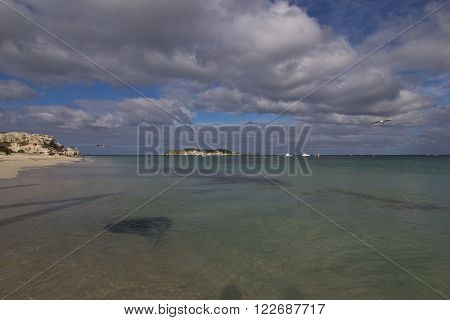Stingrays at Hamelin Bay in Western Australia
