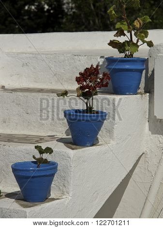 sidi bou said in the afrcian tunesia