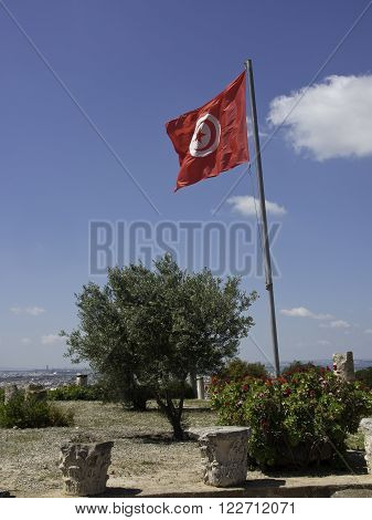 the City of Tunis at the african coast