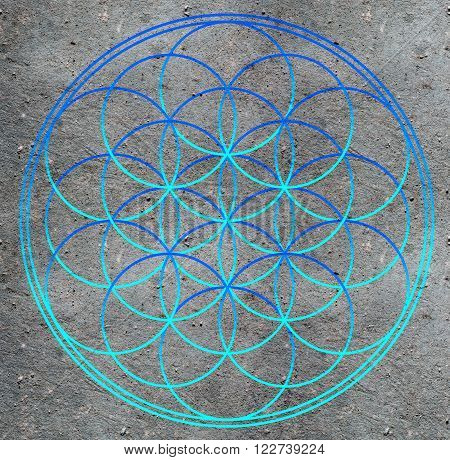 Flower of life , sacred geometry - symbol harmony and balance