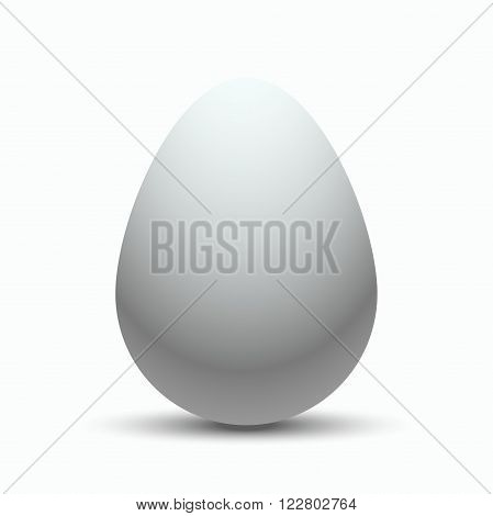 White egg on a white background with shadow