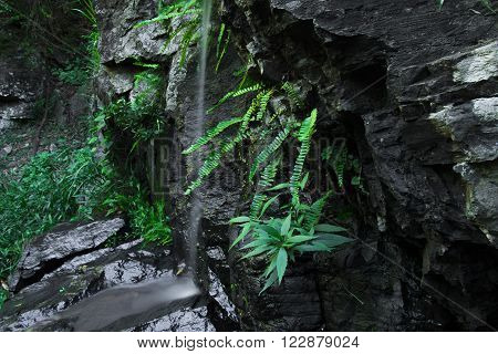 J C Slaughter Falls is a cascade waterfall located near Mt Coot-tha in Brisbane, Queensland, Australia