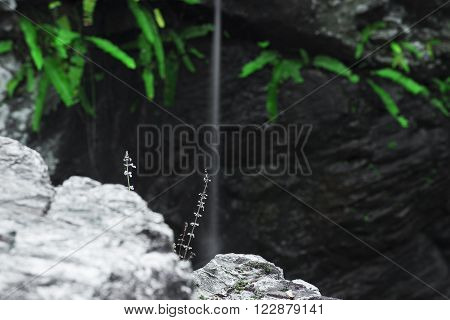 J C Slaughter Falls is a cascade waterfall located near Mt Coot-tha in Brisbane, Queensland, Australia