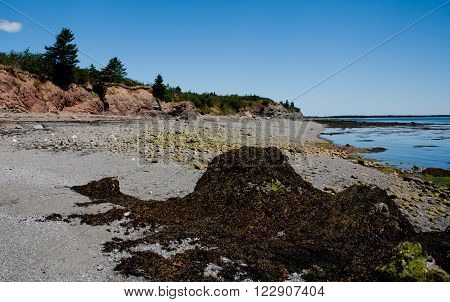 The beautiful shores of Grand Manan Island.