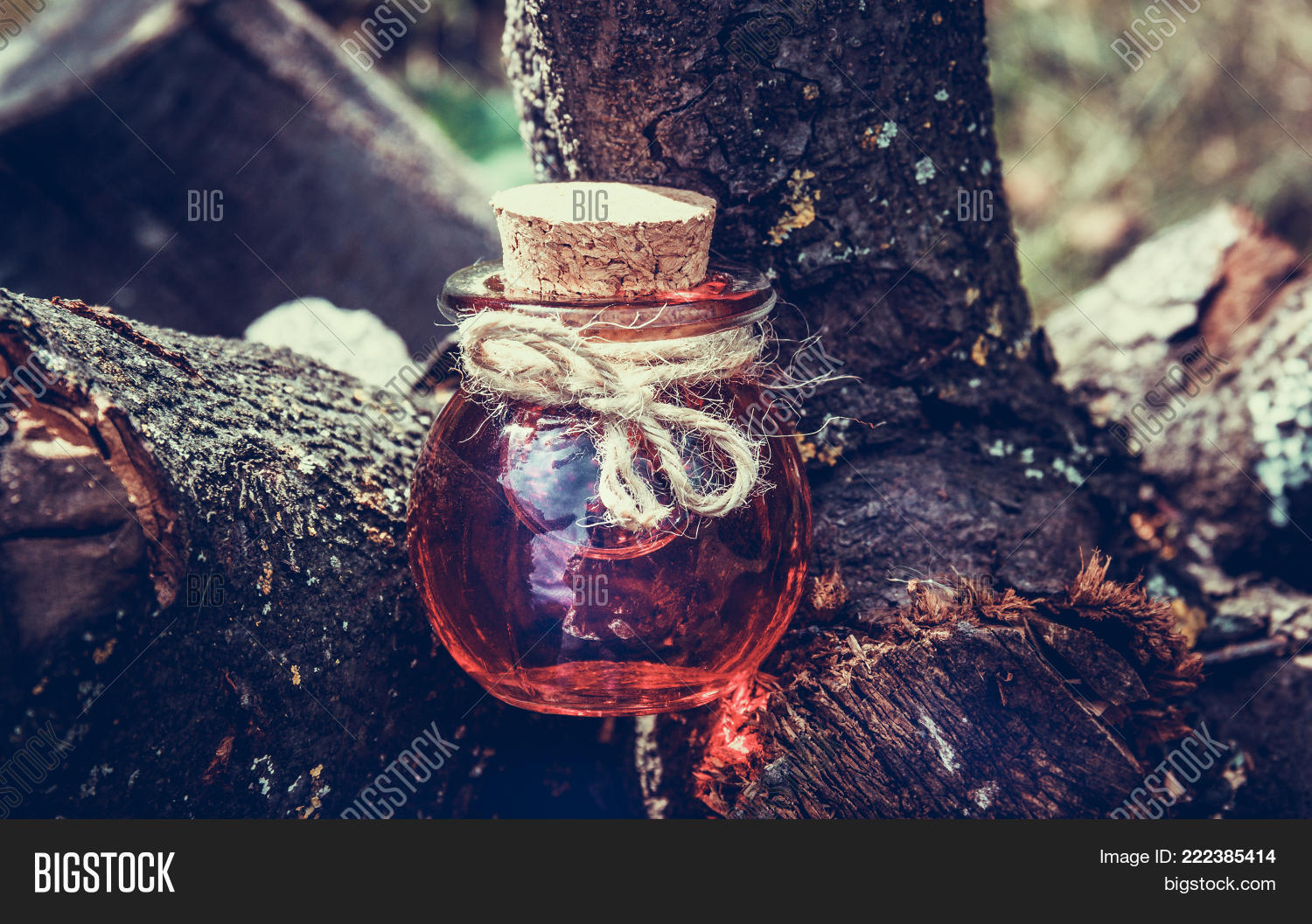 Image Preview