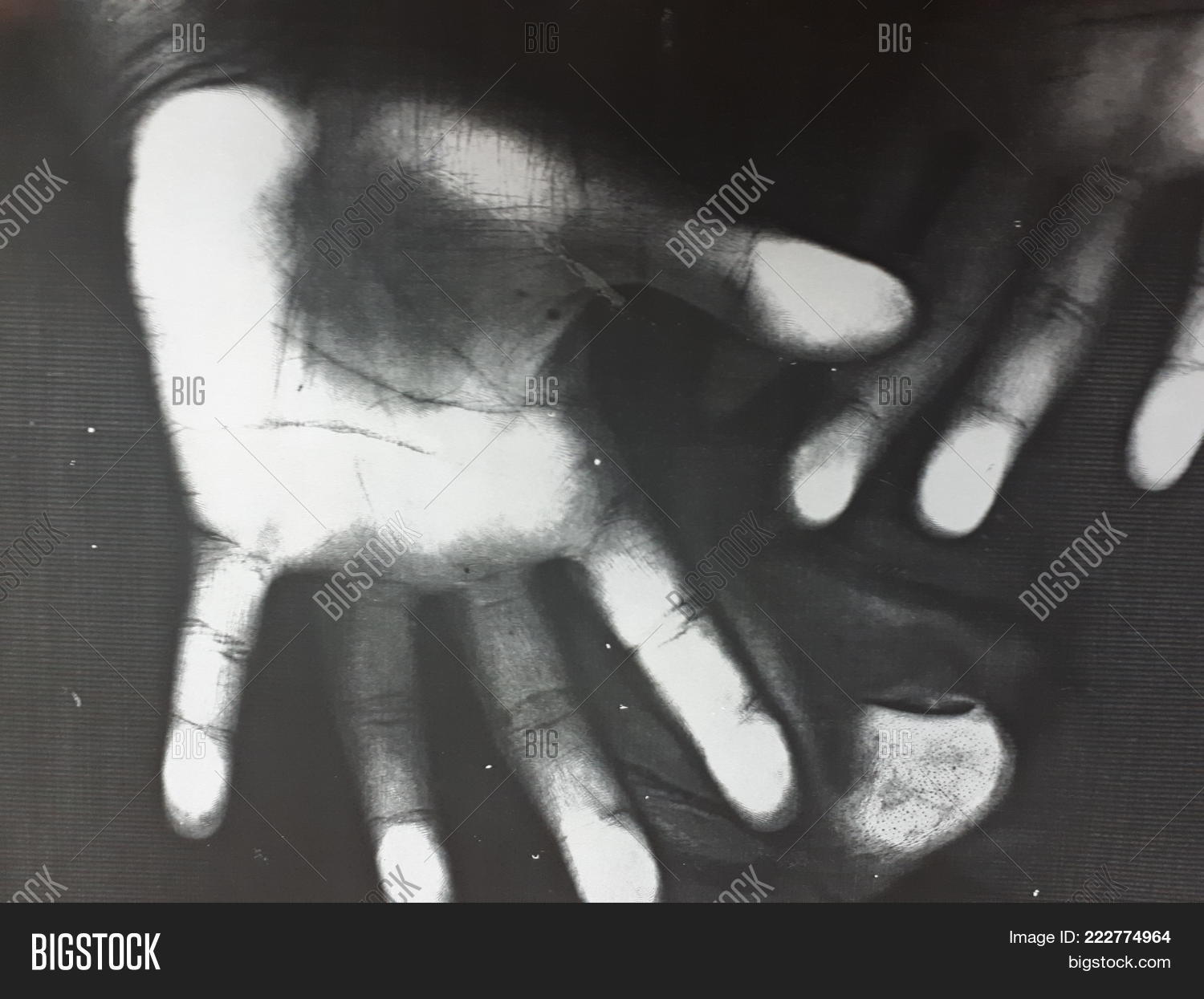 Image Preview
