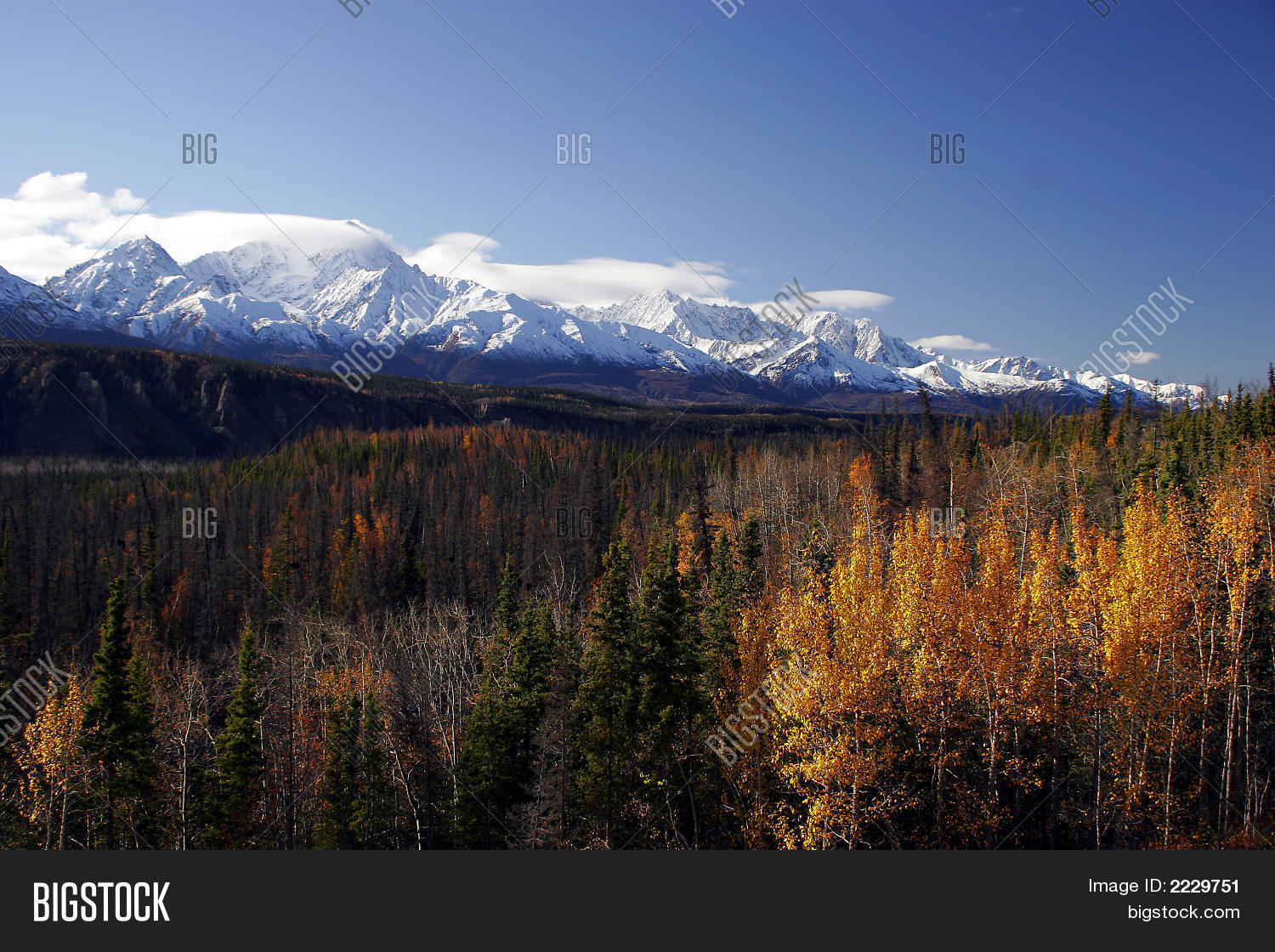 Fall Alaska Image & Photo (Free Trial) | Bigstock