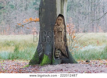 Tree Fallen Down Blocks A Path
