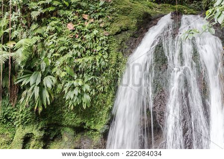 Beautiful waterfall with name Cascades aux Ecrevisses. Guadeloupe, Caribbean Islands