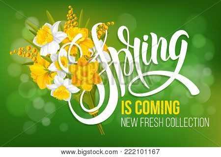 Unusual calligraphic inscription Spring is coming with spring flowers - bouquet of daffodils and mimosa. Conceptual vector illustration for advertising new product or announcement other events.