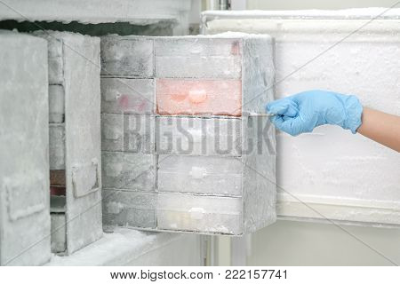 Laboratory freezer for keep isolated pathogen in ultra low temperature.