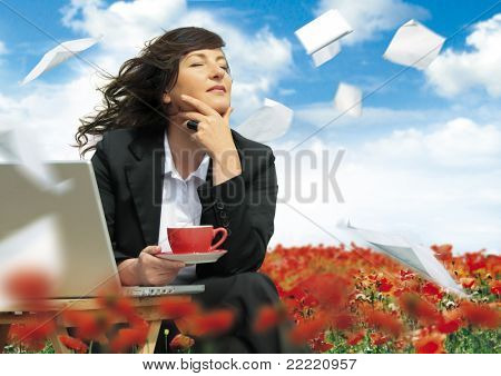 businesslady con el ordenador portátil está trabajando en un campo lleno de amapolas. Papel está volando alrededor. Keywo único