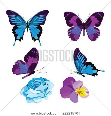 Set collection of blue and violet butterflies and flowers isolated on white background. Vector illustration.