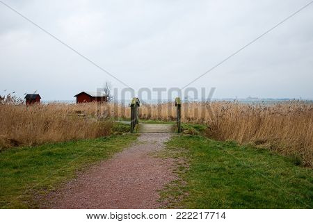Footpath through the reeds at the swedish island Oland