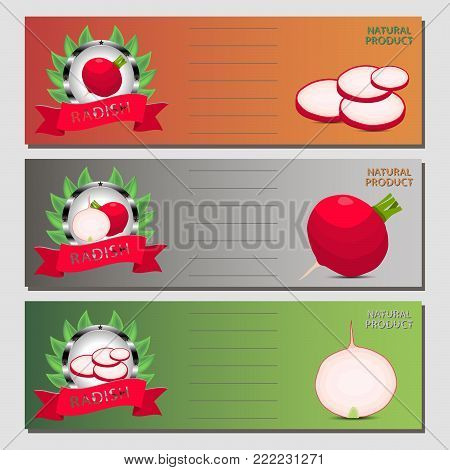 Vector icon illustration logo for whole ripe vegetable red radish, cut half carrot on background. Radish pattern consisting of label vegetables, slice raw sweet food carrots. Eat fresh radishes.
