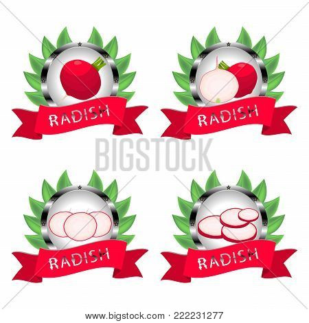 Vector icon illustration logo for whole ripe vegetable red radish, cut half carrot on background. Radish pattern consisting of label vegetables, slice raw sweet food carrots. Eat fresh radishes.