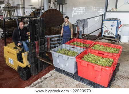 Dizy, France - September 10, 2017:  Old wooden wine presses (pressoir) and two man working with forklift at Champagne House Regent in Dizy, France