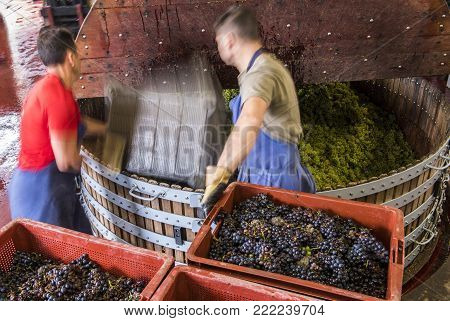 Dizy, France - September 10, 2017:  Old wooden wine presses (pressoir) and men working with crates of grapes at Champagne House Regent in Dizy, France
