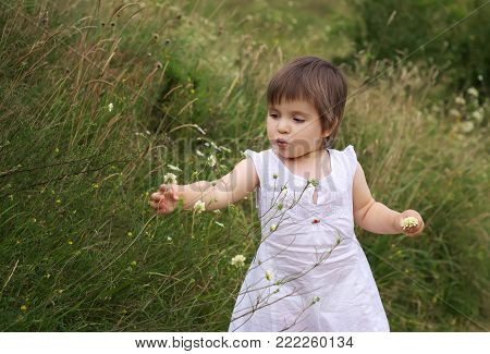 girl picking flowers on the hill in the summer