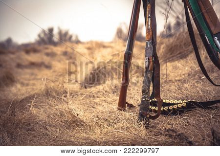 Hunting scene in wild west with hunting shotguns and ammunition belt on dry grass in rural field during hunting season as hunting background with copy space