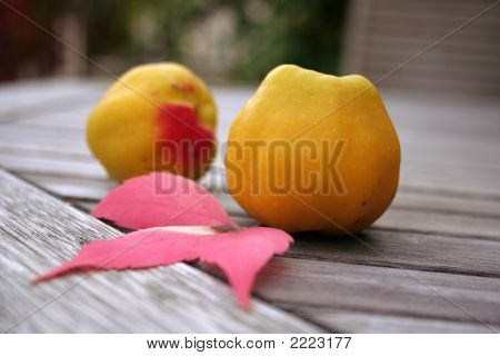 Quince