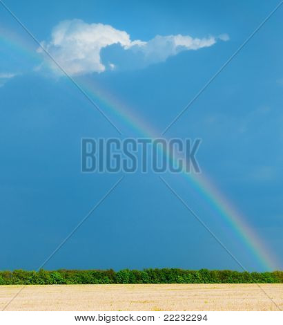 Regenbogen
