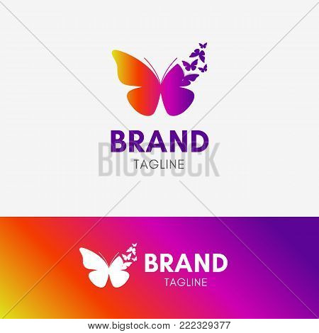 Butterfly Morph logo template icon symbol with vibrant color