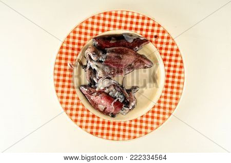 Fresh squids calamar on the fish market counter