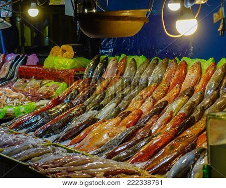 Fish Market In Manila, Philippines