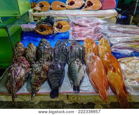 Fish Market In Manila, Philippines