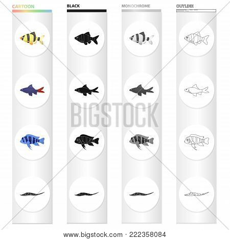 Different types of aquarium and sea fish, barbeque, stingray. A fish set collection icons in cartoon black monochrome outline style vector symbol stock illustration .