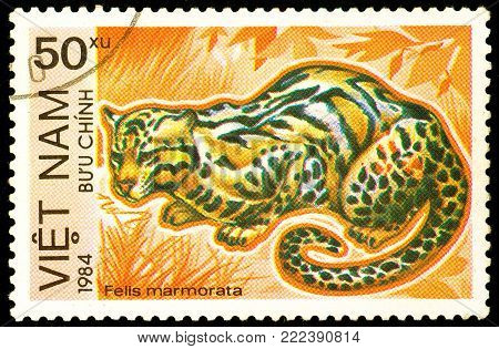 Ukraine - circa 2018: A postage stamp printed in Vietnam show Marbled Cat or Felis marmorata. Series: Endangered Animals. Circa 1984.