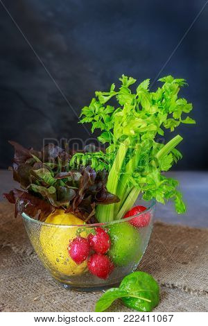 Organic food background. Vegetables on dark - celery, lettuce, radish, spinach lemon lime