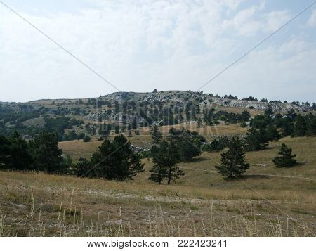 Hills and mountains covered with trees. Crimea