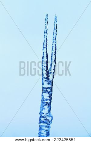 spear from ice, winter, landscapes textures and animals