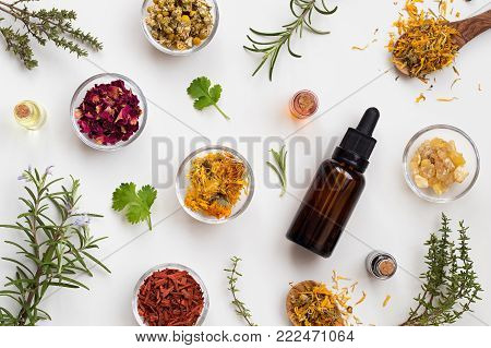 Bottles of essential oil with fresh thyme, cilantro, blooming rosemary, frankincense resin, dried calendula, chamomile, rose petals and sandalwood on a white background