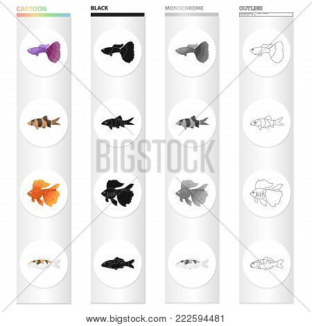 Different types of aquarium and marine fish, guppies, gold. A fish set collection icons in cartoon black monochrome outline style vector symbol stock illustration .