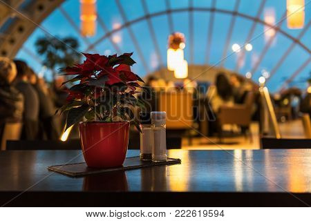 Beautiful restaurant setup with Poinsettia (Christmas Star) flower decoration
