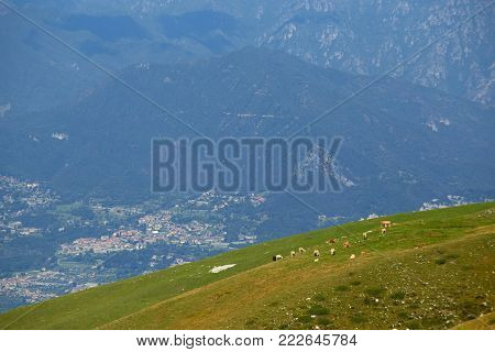 Monte Baldo. Italy. Beautiful View From The Mountain To The Foothills.