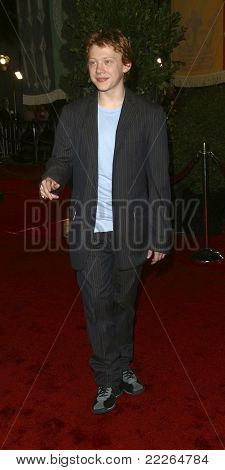 LOS ANGELES - marras 16: Rupert Grint Mannin 