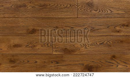 Wood texture background for design, oak toned brown board .