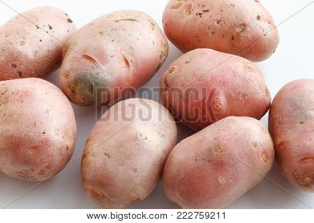 A lot of dirty potatoes on a white background. Potatoes scattered on a white background.
