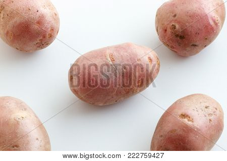 A lot of dirty potatoes on a white background. Potatoes scattered on a white background.