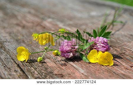 wildflowers on a wood bench in the sunnny summer day