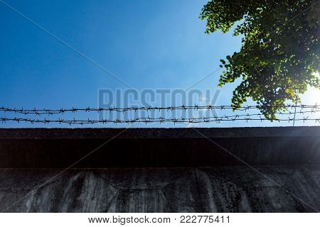 barbed wire on the wall on the sky background