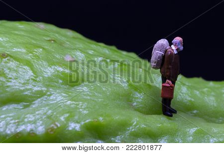 Old man figure walking on fruit skin. Senior traveler figurine on rough exotic vegetable. Senior man healthy diet concept. Active lifestyle in elderly age. Aged backpacker on asian vegetable chayote